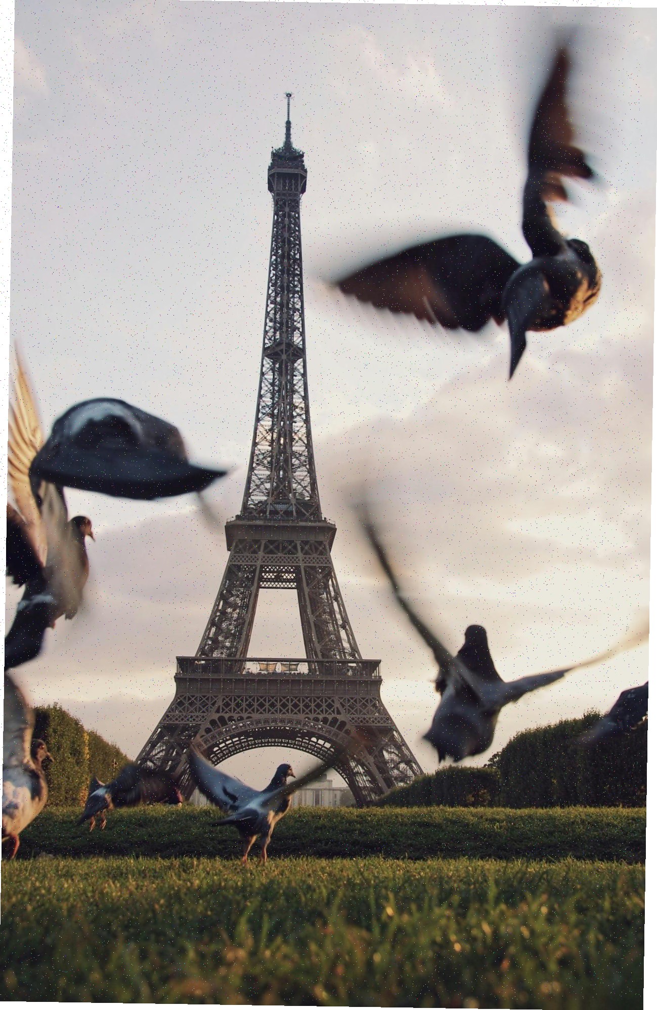 Projekt